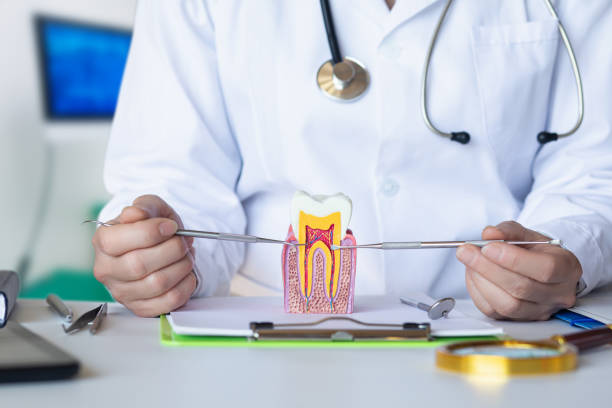Best Chipped Tooth Repair Near Me  in De Kal, TX